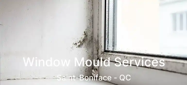  Window Mould Services Saint-Boniface - QC