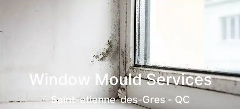  Window Mould Services Saint-etienne-des-Gres - QC