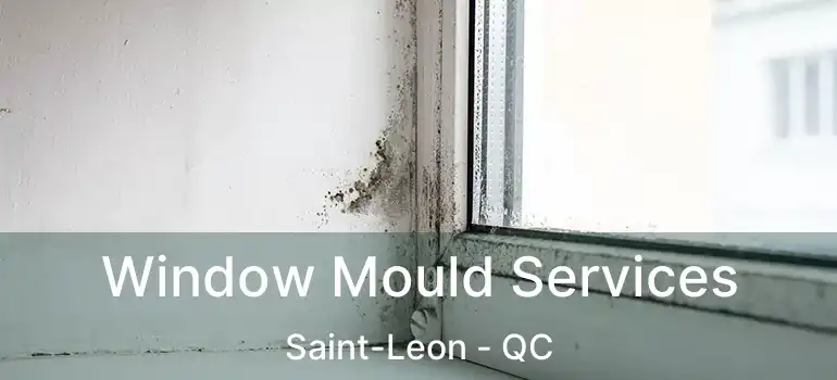  Window Mould Services Saint-Leon - QC
