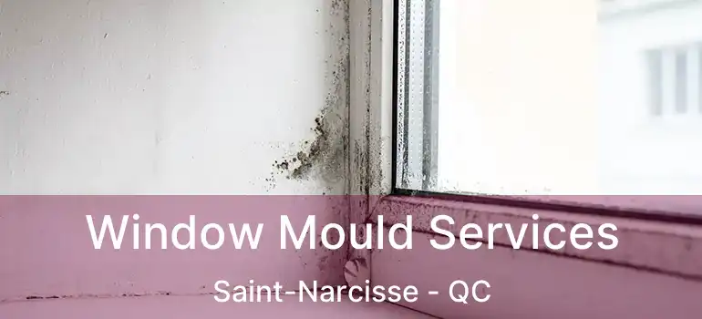  Window Mould Services Saint-Narcisse - QC
