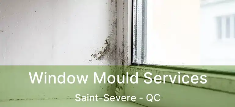  Window Mould Services Saint-Severe - QC