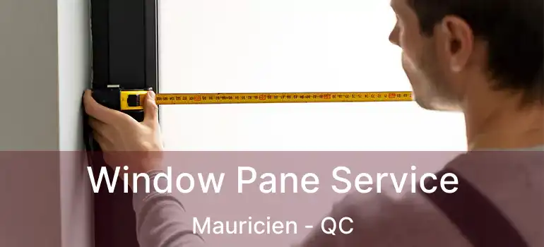  Window Pane Service Mauricien - QC