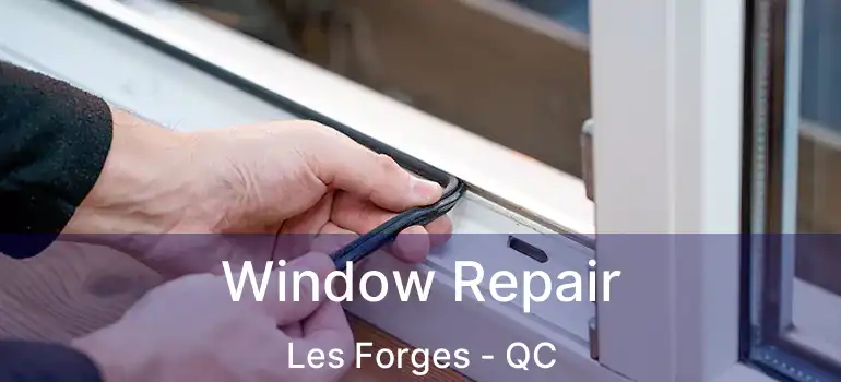  Window Repair Les Forges - QC