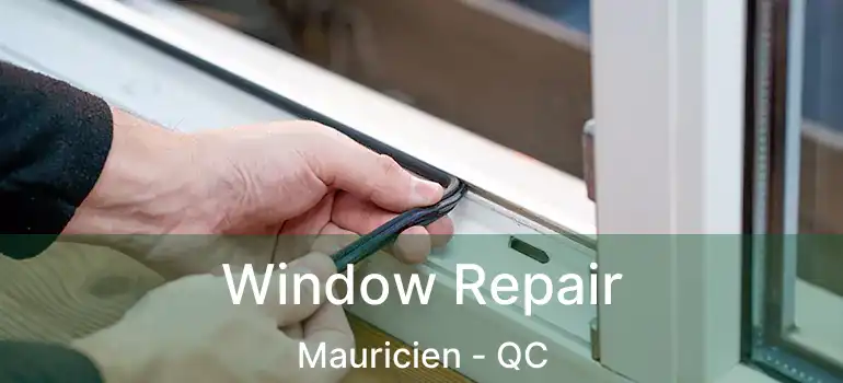  Window Repair Mauricien - QC