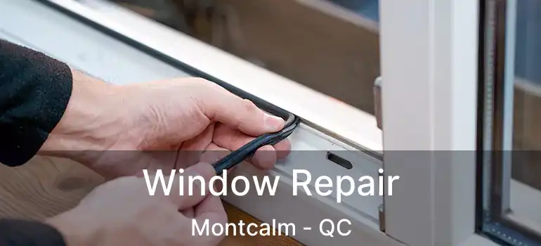  Window Repair Montcalm - QC