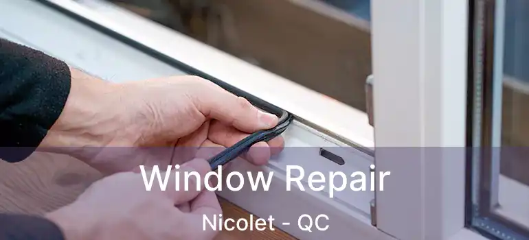  Window Repair Nicolet - QC
