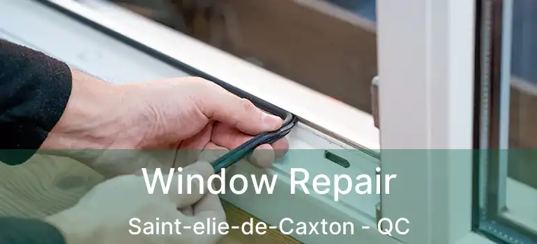  Window Repair Saint-elie-de-Caxton - QC