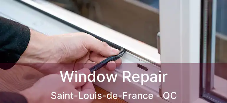  Window Repair Saint-Louis-de-France - QC