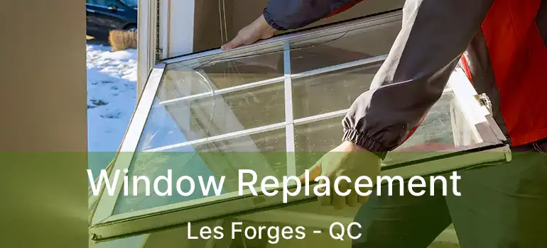  Window Replacement Les Forges - QC