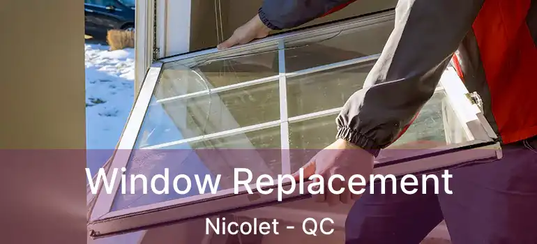  Window Replacement Nicolet - QC
