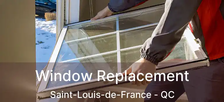  Window Replacement Saint-Louis-de-France - QC
