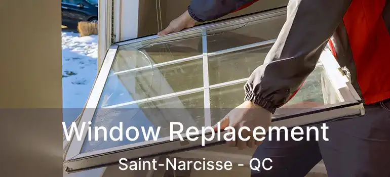 Window Replacement Saint-Narcisse - QC