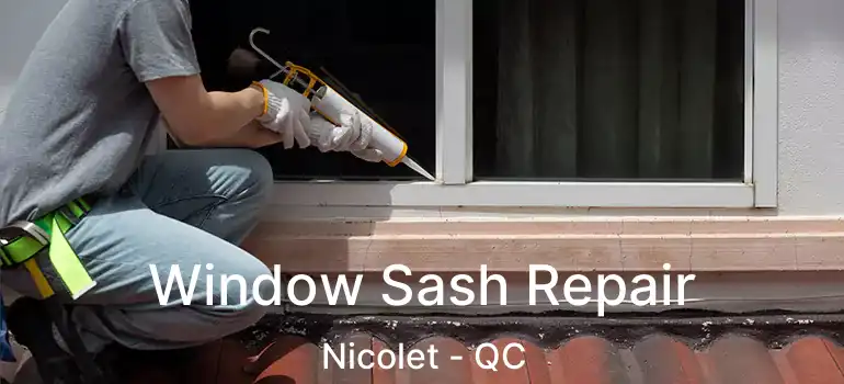  Window Sash Repair Nicolet - QC