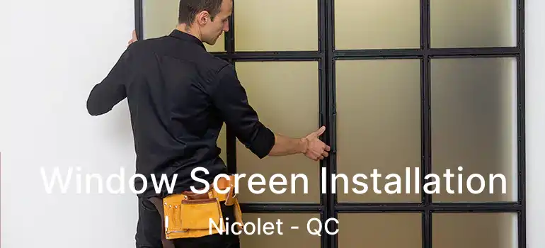  Window Screen Installation Nicolet - QC