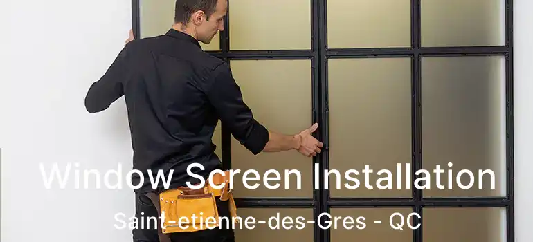  Window Screen Installation Saint-etienne-des-Gres - QC
