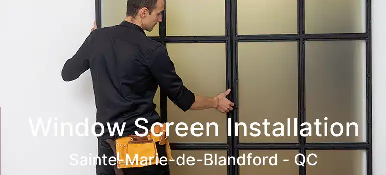  Window Screen Installation Sainte-Marie-de-Blandford - QC