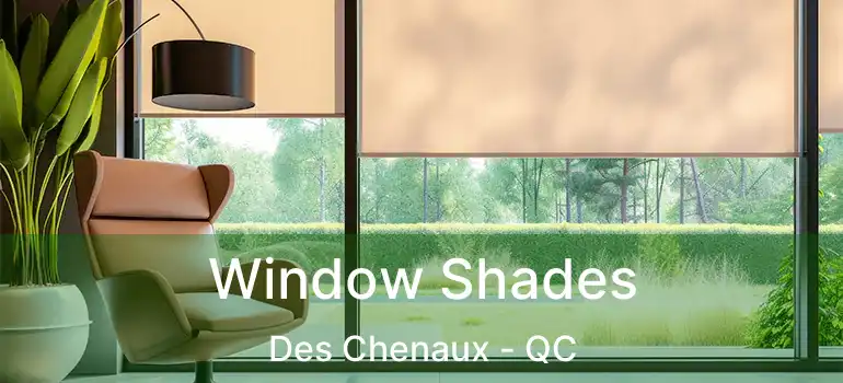  Window Shades Des Chenaux - QC