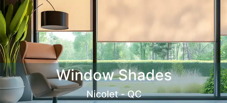  Window Shades Nicolet - QC
