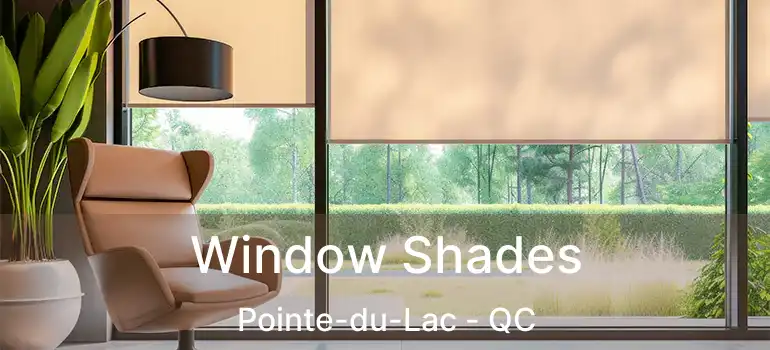  Window Shades Pointe-du-Lac - QC