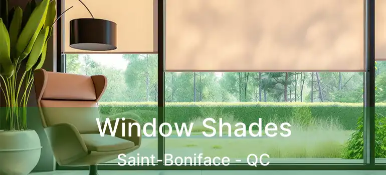  Window Shades Saint-Boniface - QC
