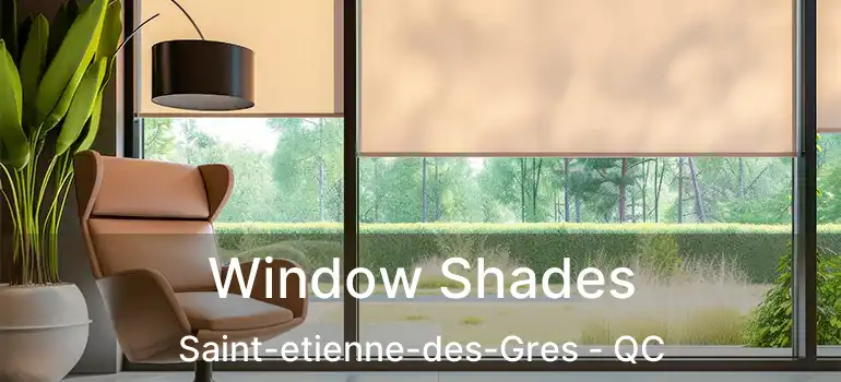  Window Shades Saint-etienne-des-Gres - QC