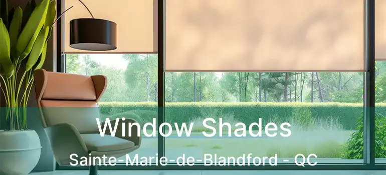  Window Shades Sainte-Marie-de-Blandford - QC
