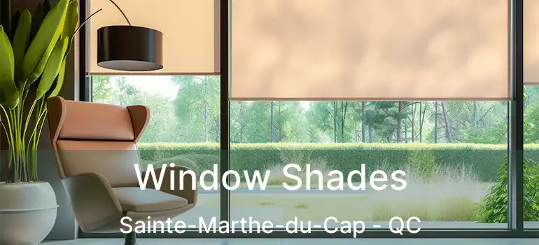  Window Shades Sainte-Marthe-du-Cap - QC