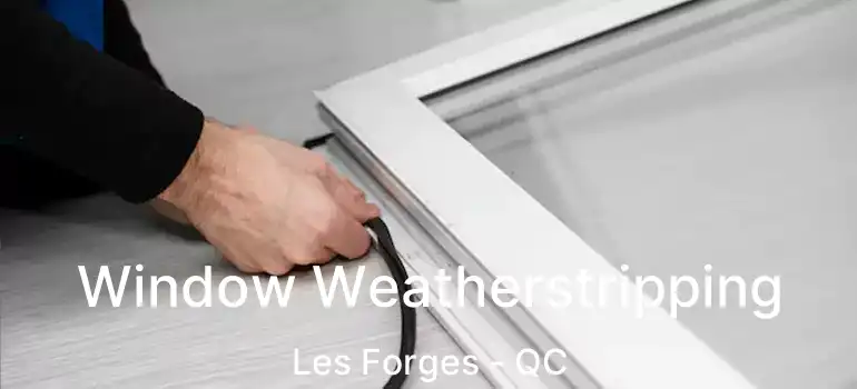  Window Weatherstripping Les Forges - QC