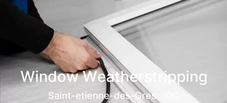  Window Weatherstripping Saint-etienne-des-Gres - QC