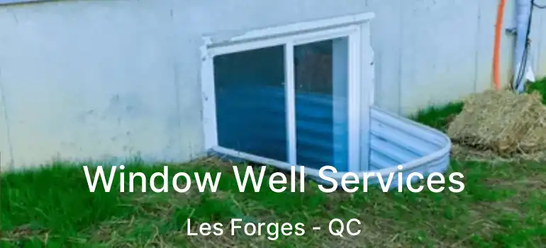  Window Well Services Les Forges - QC