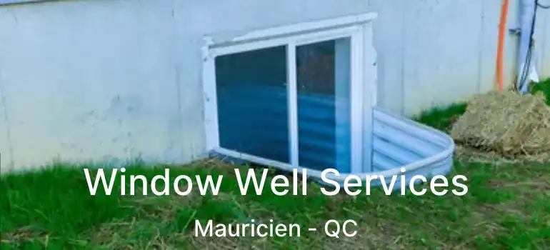  Window Well Services Mauricien - QC