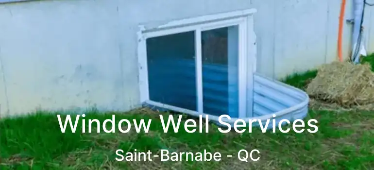  Window Well Services Saint-Barnabe - QC