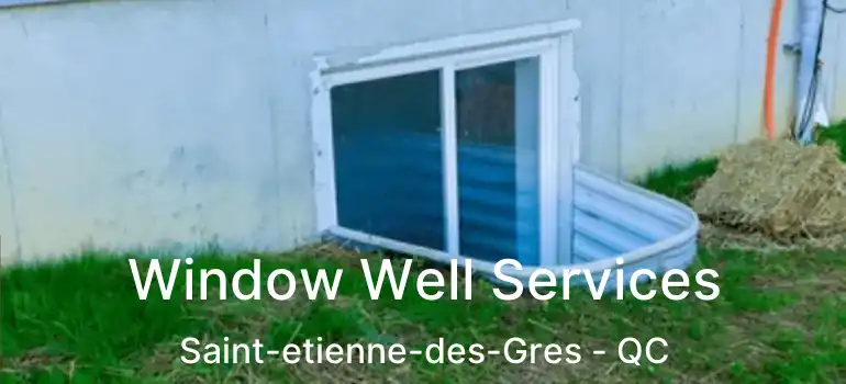  Window Well Services Saint-etienne-des-Gres - QC
