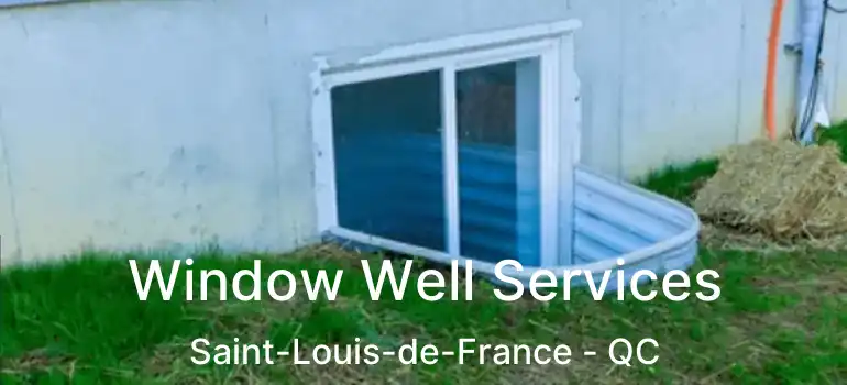  Window Well Services Saint-Louis-de-France - QC