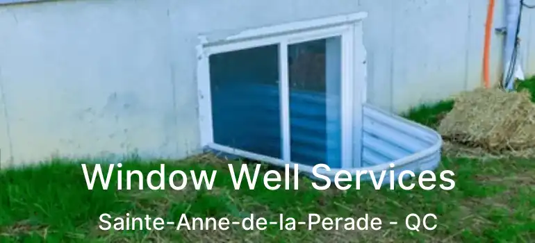  Window Well Services Sainte-Anne-de-la-Perade - QC