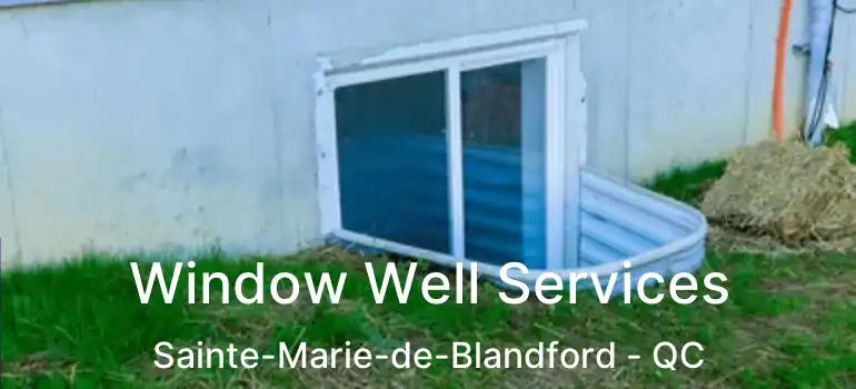  Window Well Services Sainte-Marie-de-Blandford - QC