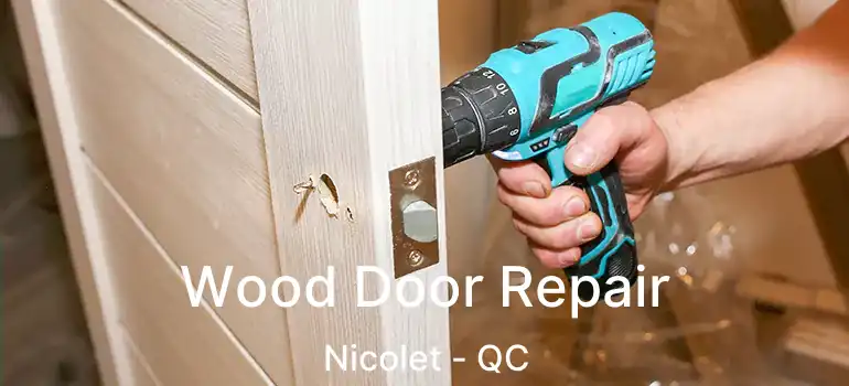  Wood Door Repair Nicolet - QC