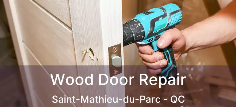  Wood Door Repair Saint-Mathieu-du-Parc - QC